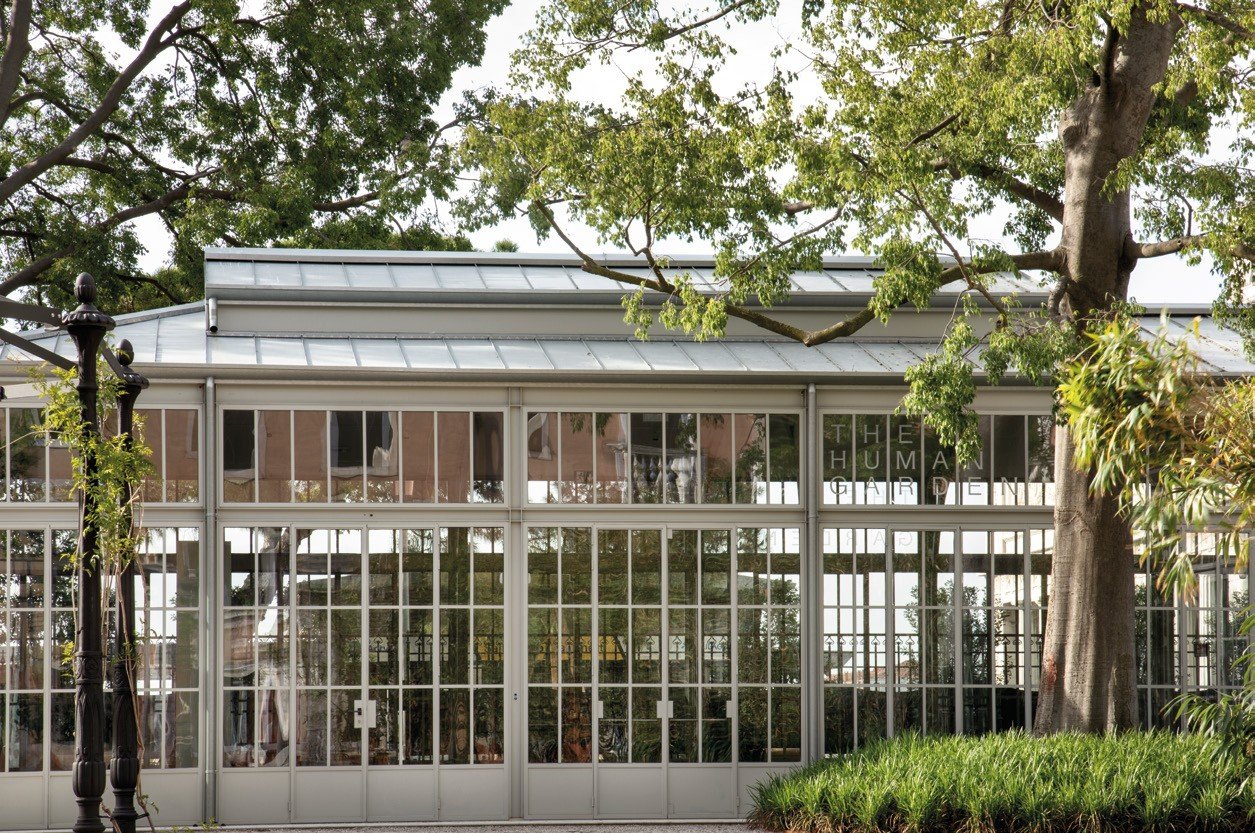 Steel-and-glass orangery among old trees